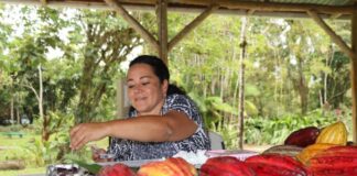 Piura fue sede del II Encuentro Regional de productoras de cacao del norte del país Piura: sede del II encuentro regional de productoras de cacao del norte del país