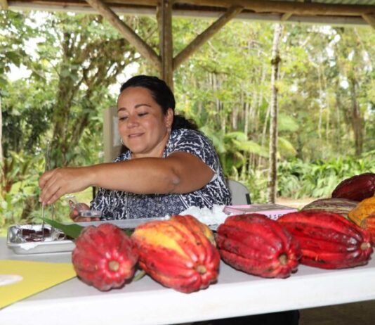 Piura fue sede del II Encuentro Regional de productoras de cacao del norte del país Piura: sede del II encuentro regional de productoras de cacao del norte del país