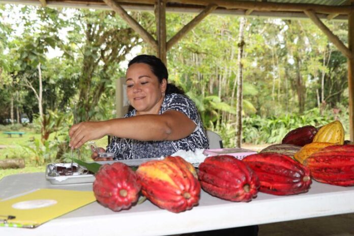 Piura: sede del II encuentro regional de productoras de cacao del norte del país
