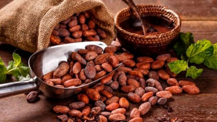 Día Mundial del cacao: conoce su historia y beneficios para la salud