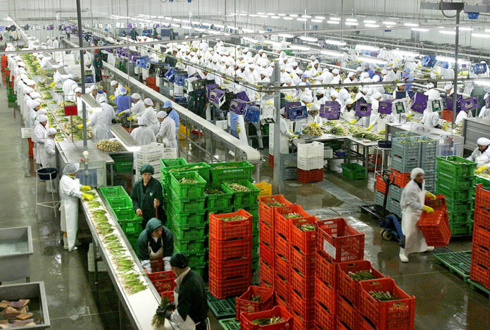 Agroexportaciones peruanas superan los US$ 12,000 millones y consolidan liderazgo mundial en frutas frescas Agroexportaciones peruanas superan los US$ 12,000 millones y consolidan liderazgo mundial en frutas frescas
