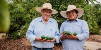 El Midagri impulsa 1, 800 planes de negocio para fortalecer el agro peruano El Midagri impulsa 1, 800 planes de negocio para fortalecer el agro peruano