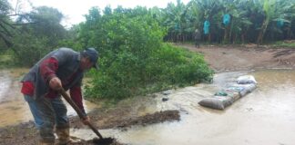 Gobierno entrega bono agrario a 66 pequeños productores en Ayabaca Gobierno entrega bono agrario a 66 pequeños productores en Ayabaca