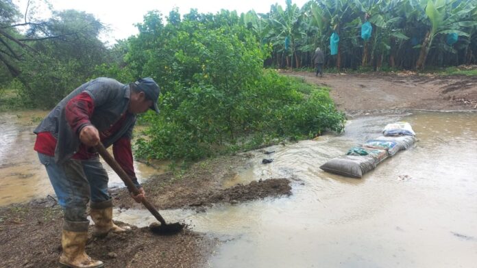 Gobierno entrega bono agrario a 66 pequeños productores en Ayabaca
