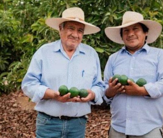 El Midagri impulsa 1, 800 planes de negocio para fortalecer el agro peruano El Midagri impulsa 1, 800 planes de negocio para fortalecer el agro peruano