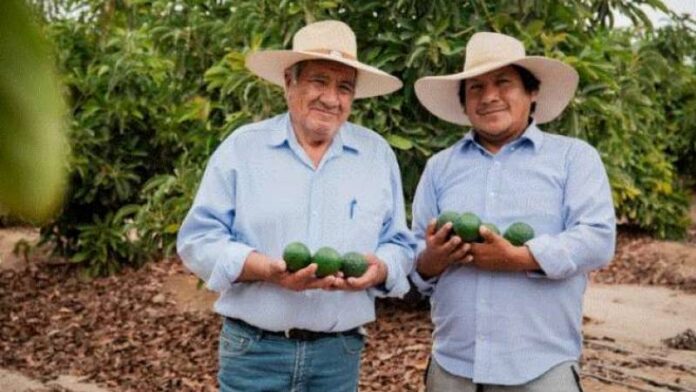 El Midagri impulsa 1, 800 planes de negocio para fortalecer el agro peruano