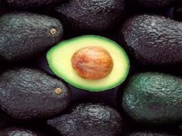 Inacal aprueba nueva norma técnica para la palta Hass con requisitos de calidad más exigentes Inacal aprueba nueva norma técnica para la palta Hass con requisitos de calidad más exigentes