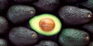 Inacal aprueba nueva norma técnica para la palta Hass con requisitos de calidad más exigentes Inacal aprueba nueva norma técnica para la palta Hass con requisitos de calidad más exigentes