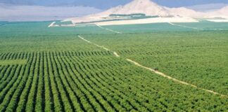 Tumbes: inician licitación internacional de megaproyectos de riego Inician licitación internacional de megaproyectos de riego que beneficiarán a más de 430 mil familias rurales