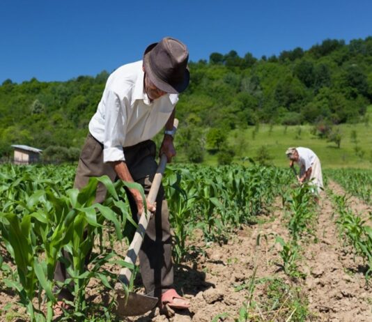Congreso aprueba dictamen a favor de bonos de la Reforma Agraria Congreso aprueba dictamen a favor de bonos de la Reforma Agraria
