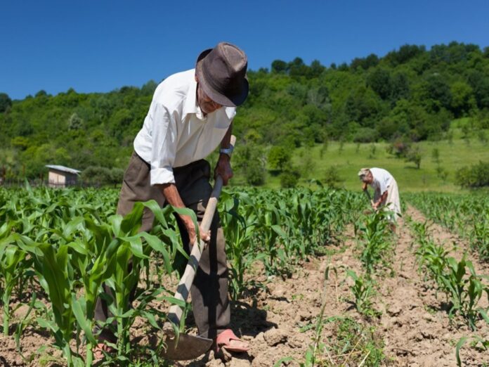 Congreso aprueba dictamen a favor de bonos de la Reforma Agraria