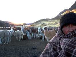 Senamhi alerta descenso de temperatura nocturna en la sierra sur hasta el 23 de julio Senamhi alerta descenso de temperatura nocturna en la sierra hasta el 23 de julio