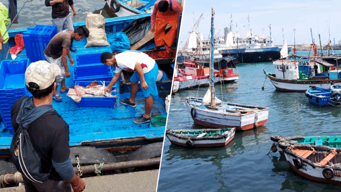 Pescadores de San Pablo inician formalización con curso de marinero artesanal en Piura