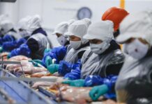 Perú concreta primera exportación de carne de ave tras recuperar estatus sanitario Perú concreta primera exportación de carne de ave tras recuperar estatus sanitario