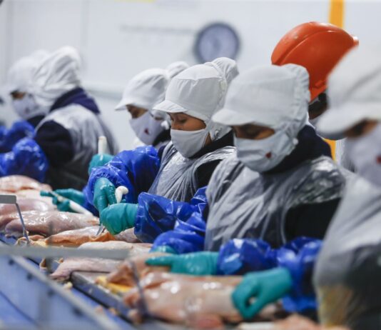 Perú concreta primera exportación de carne de ave tras recuperar estatus sanitario Perú concreta primera exportación de carne de ave tras recuperar estatus sanitario