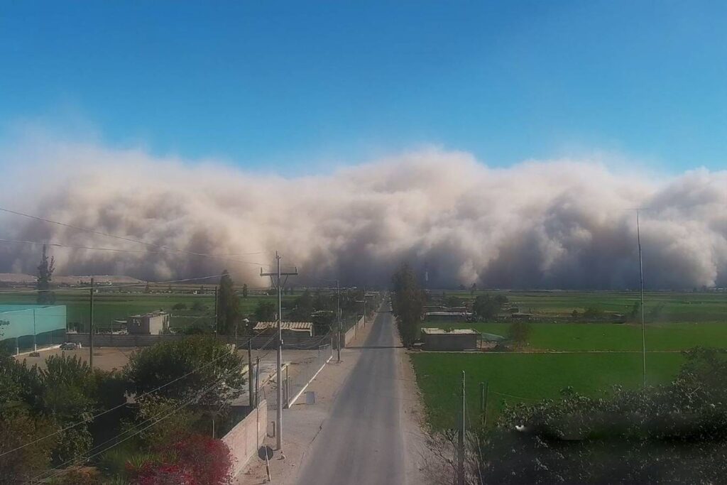 Gremio agrícola alerta por impacto de vientos extremos en cultivos de Ica
