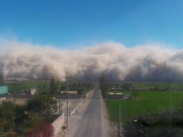 Gremio agrícola alerta por impacto de vientos extremos en cultivos de Ica Gremio agrícola alerta por impacto de vientos extremos en cultivos de Ica