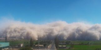 Gremio agrícola alerta por impacto de vientos extremos en cultivos de Ica Gremio agrícola alerta por impacto de vientos extremos en cultivos de Ica