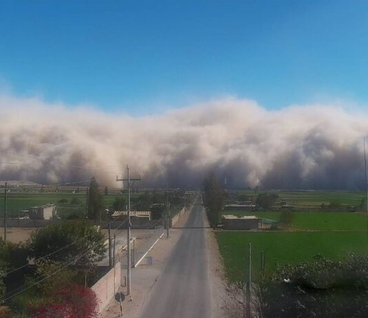 Gremio agrícola alerta por impacto de vientos extremos en cultivos de Ica Gremio agrícola alerta por impacto de vientos extremos en cultivos de Ica