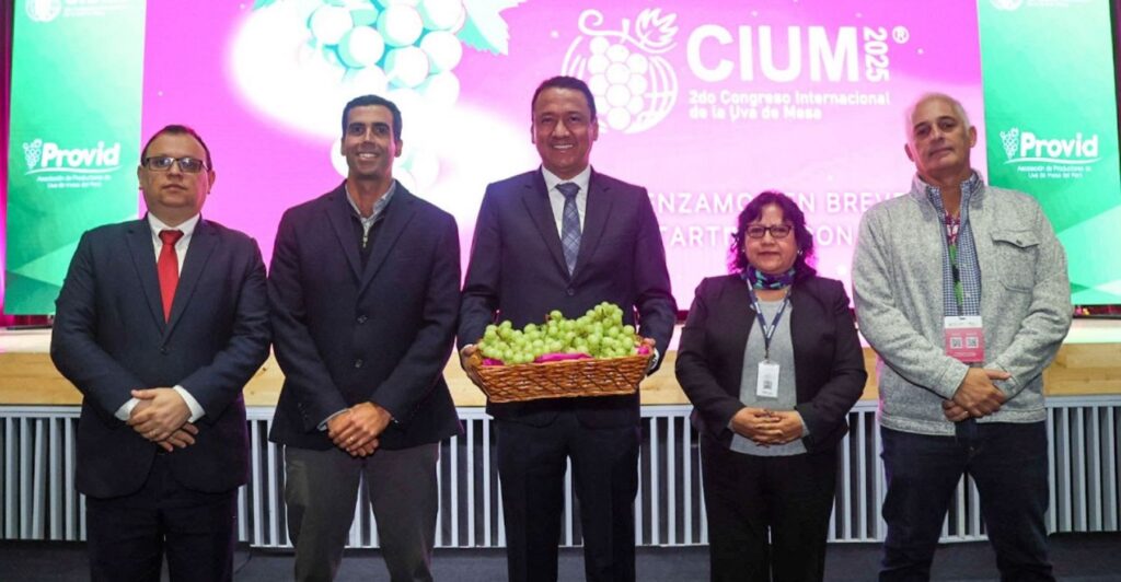 Perú mantiene liderazgo mundial en exportación de uva de mesa por segundo año consecutivo