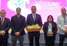 Perú mantiene liderazgo mundial en exportación de uva de mesa por segundo año consecutivo Perú mantiene liderazgo mundial en exportación de uva de mesa por segundo año consecutivo