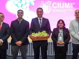 Perú mantiene liderazgo mundial en exportación de uva de mesa por segundo año consecutivo Perú mantiene liderazgo mundial en exportación de uva de mesa por segundo año consecutivo