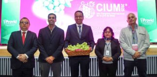 Perú mantiene liderazgo mundial en exportación de uva de mesa por segundo año consecutivo Perú mantiene liderazgo mundial en exportación de uva de mesa por segundo año consecutivo