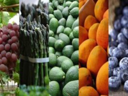 Empresas exportadoras peruanas crecieron 5.5% en el primer semestre del 2025 Empresas exportadoras peruanas crecieron 5.5% en el primer semestre de 2025