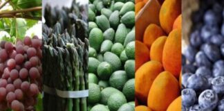 Empresas exportadoras peruanas crecieron 5.5% en el primer semestre del 2025 Empresas exportadoras peruanas crecieron 5.5% en el primer semestre de 2025