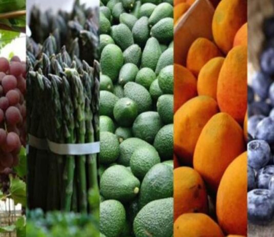 Empresas exportadoras peruanas crecieron 5.5% en el primer semestre del 2025 Empresas exportadoras peruanas crecieron 5.5% en el primer semestre de 2025