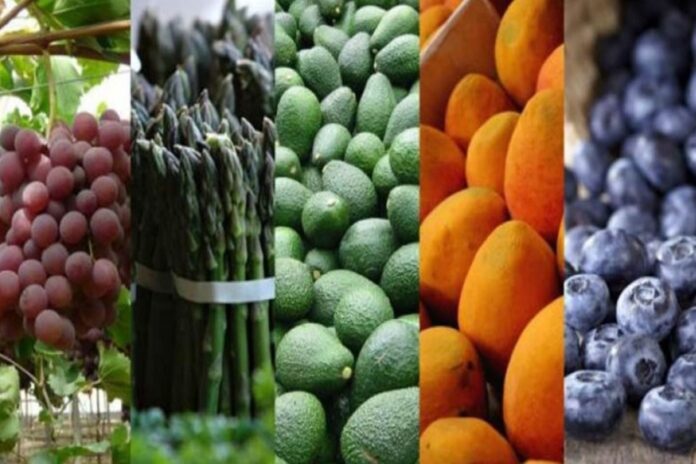Empresas exportadoras peruanas crecieron 5.5% en el primer semestre de 2025