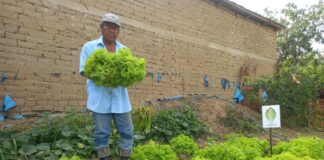 Proyecto de biohuertos en Morropón fortalece seguridad alimentaria y beneficia a familias e instituciones Proyecto de biohuertos en Morropón fortalece seguridad alimentaria y beneficia a familias e instituciones