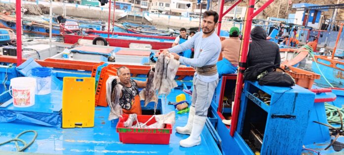 PRODUCE: Pesca de pota se reinicia desde el 25 de agosto