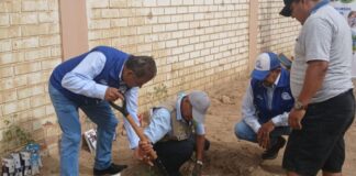 Impulsan reforestación en Piura con más de 3,600 plantones Gobierno Regional impulsa reforestación en Piura con más de 3,600 plantones