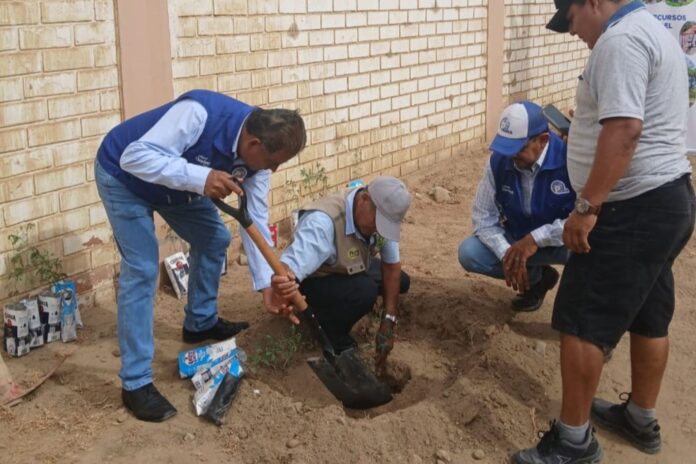 Gobierno Regional impulsa reforestación en Piura con más de 3,600 plantones