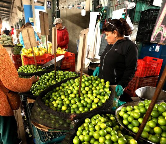 Precio del limón en Piura se triplica por baja producción estacional MIDAGRI: Precios del limón responden a factores estacionales que son temporales
