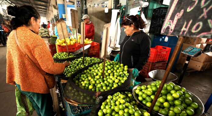 MIDAGRI: Precios del limón responden a factores estacionales que son temporales