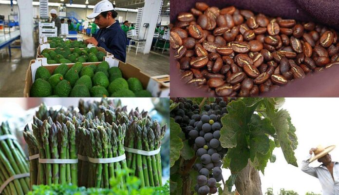Impulsan exportaciones agropecuarias peruanas en Japón