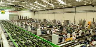 Empresas agroexportadoras del Perú consolidan su liderazgo global con productos estrella Empresas agroexportadoras del Perú consolidan su liderazgo global con productos estrella