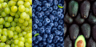 Perú concreta acceso de 59 productos agropecuarios a nuevos mercados internacionales Perú concreta acceso de 59 productos agropecuarios a nuevos mercados internacionales