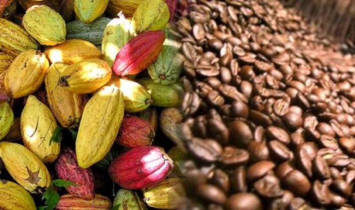 Exportaciones de productos orgánicos peruanos crecieron 45% en 2025