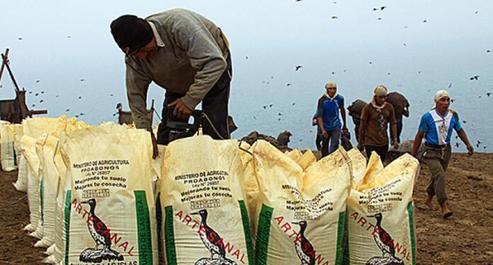 Guano de las Islas beneficiará a más de 22 mil agricultores en 2025 con nuevo plan de repoblamiento