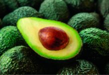 Palta peruana inicia una nueva fase de expansión comercial en Asia Día Nacional de la Palta Peruana: reconocimiento al fruto bandera del agro y la salud
