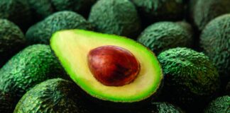 Palta peruana inicia una nueva fase de expansión comercial en Asia Día Nacional de la Palta Peruana: reconocimiento al fruto bandera del agro y la salud