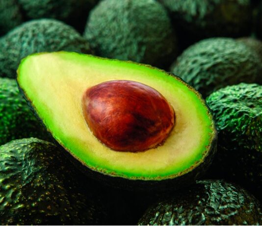 Día Nacional de la Palta Peruana: reconocimiento al fruto bandera del agro y la salud Día Nacional de la Palta Peruana: reconocimiento al fruto bandera del agro y la salud