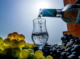 Perú refuerza cooperación con la OIV para potenciar el Pisco y el vino a nivel internacional Perú refuerza cooperación con la OIV para potenciar el Pisco y el vino a nivel internacional