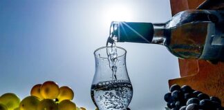 Perú refuerza cooperación con la OIV para potenciar el Pisco y el vino a nivel internacional Perú refuerza cooperación con la OIV para potenciar el Pisco y el vino a nivel internacional