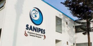 Emiten más de 16 mil certificados sanitarios y fortalece exportaciones pesqueras en 2025 Emiten más de 16 mil certificados sanitarios y fortalece exportaciones pesqueras en 2025