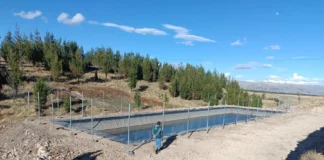 Programa de riego tecnificado del Midagri beneficiará a más de 7,000 familias en 19 regiones Programa de riego tecnificado del Midagri beneficiará a más de 7,000 familias en 19 regiones