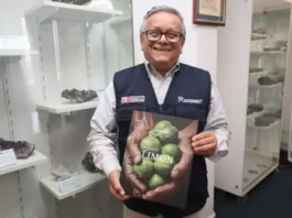 Ingemmet revela la geología que hace único al limón piurano en el mundo Ingemmet revela la geología que hace único al limón piurano en el mundo